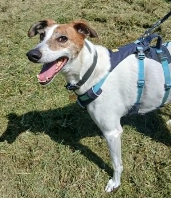 Ernie – Photo 1 of 5