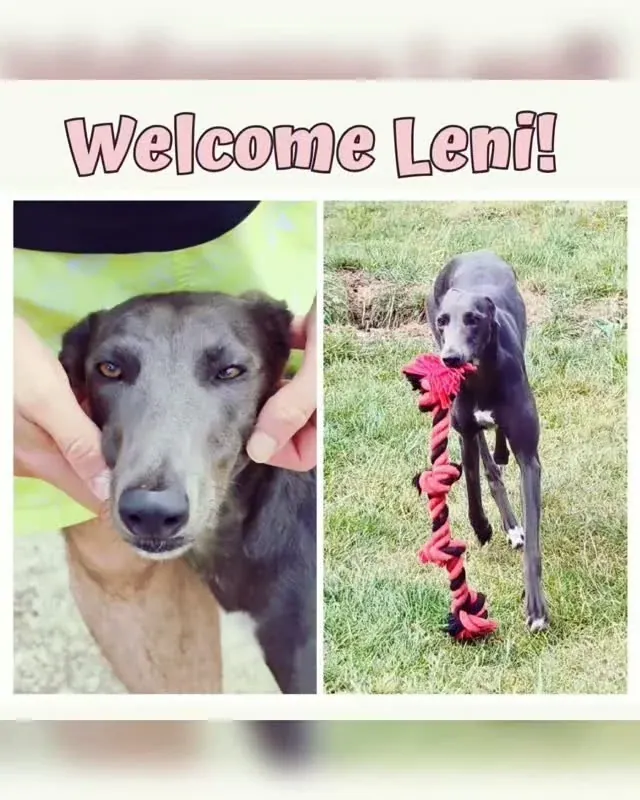 Leni – Photo 1 of 1