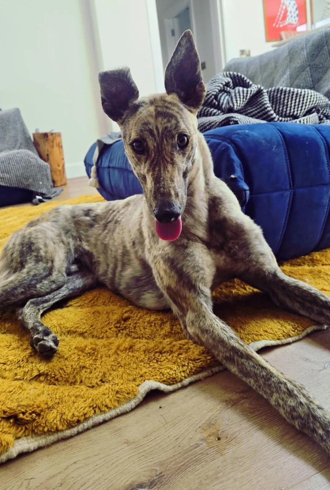 Jake – Photo 1 of 6