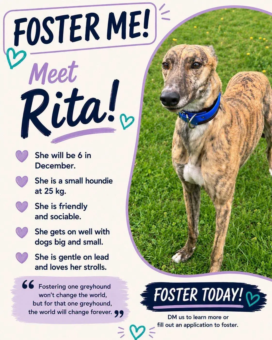 Rita – Photo 1 of 1