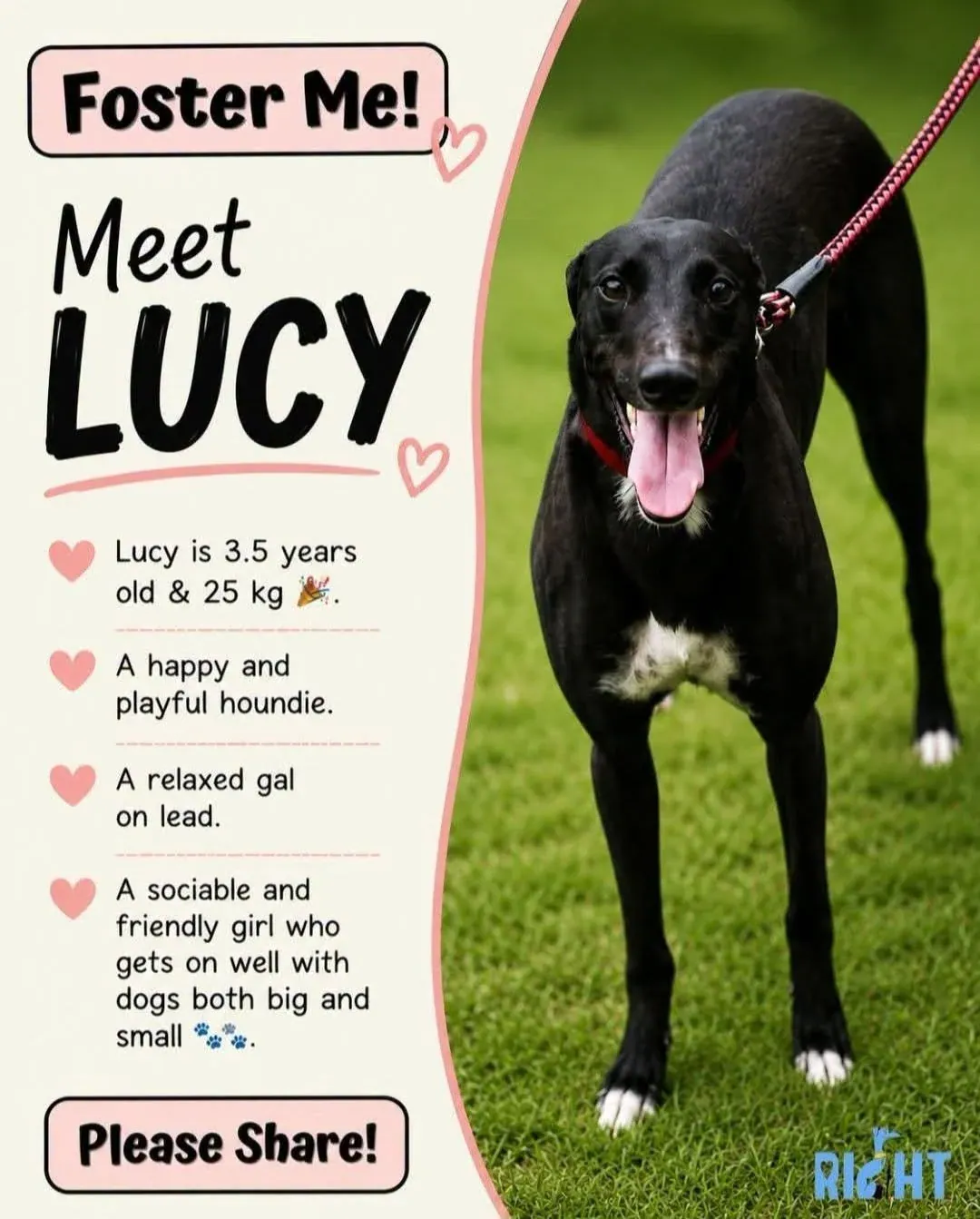 Lucy – Photo 1 of 2