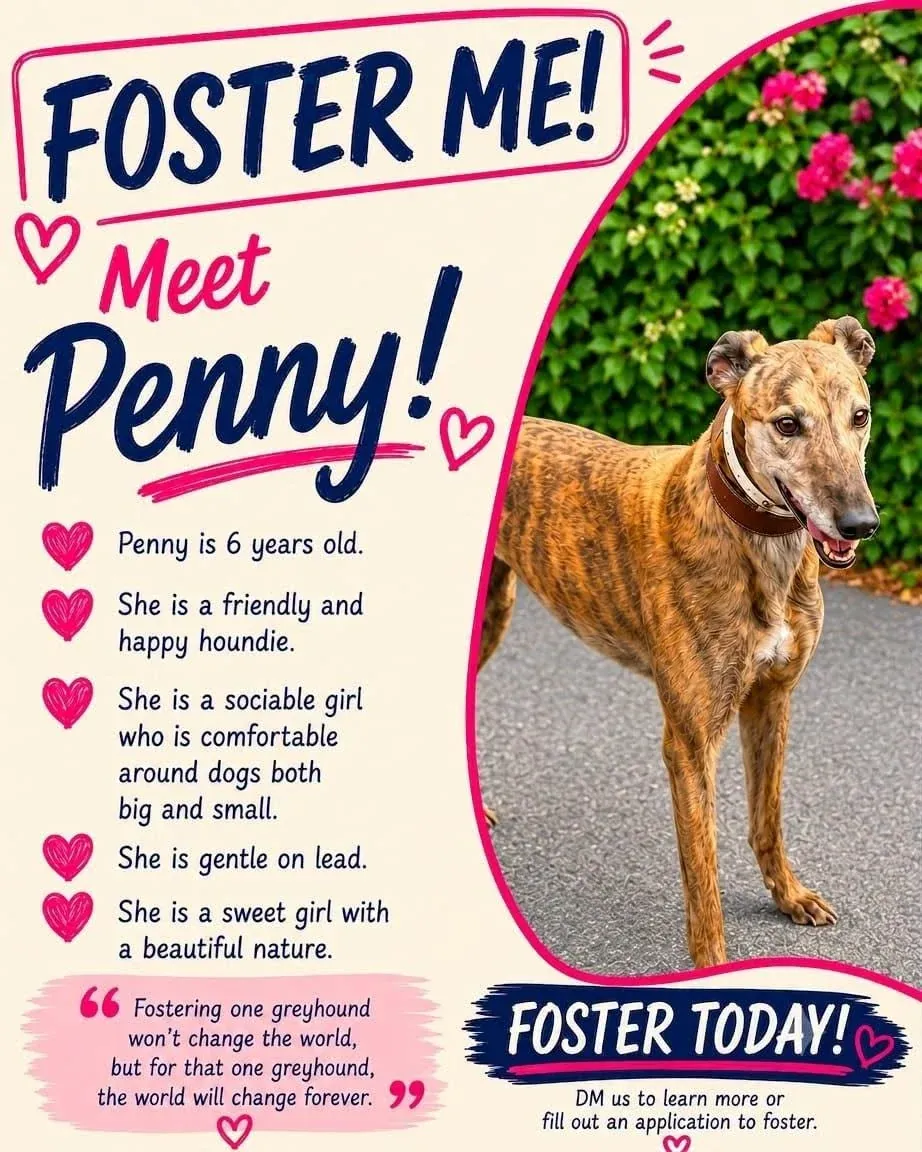 Penny – Photo 1 of 1