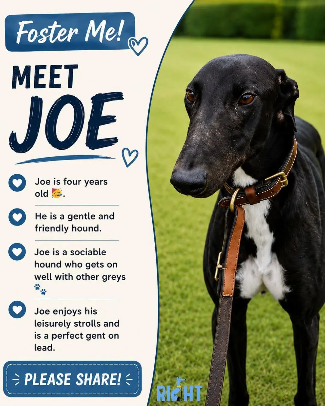 Joe – Photo 1 of 2