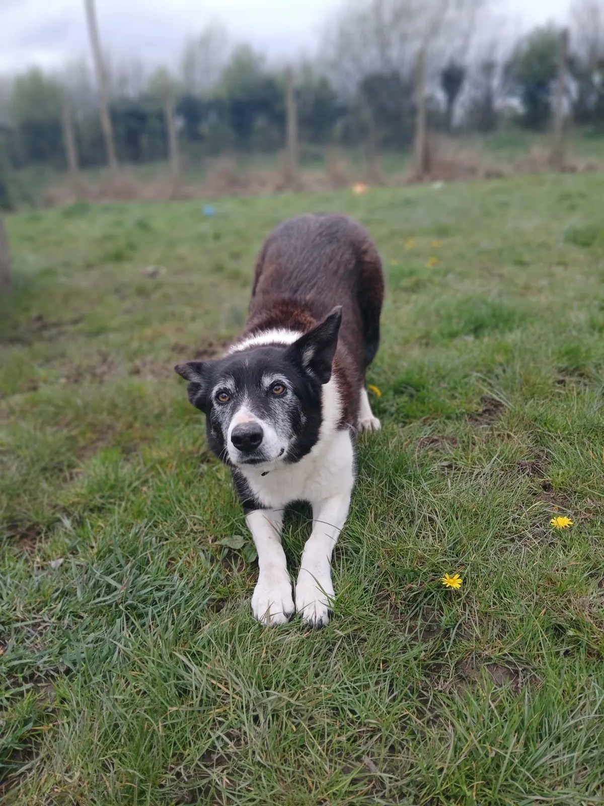 Lucy – Photo 1 of 2