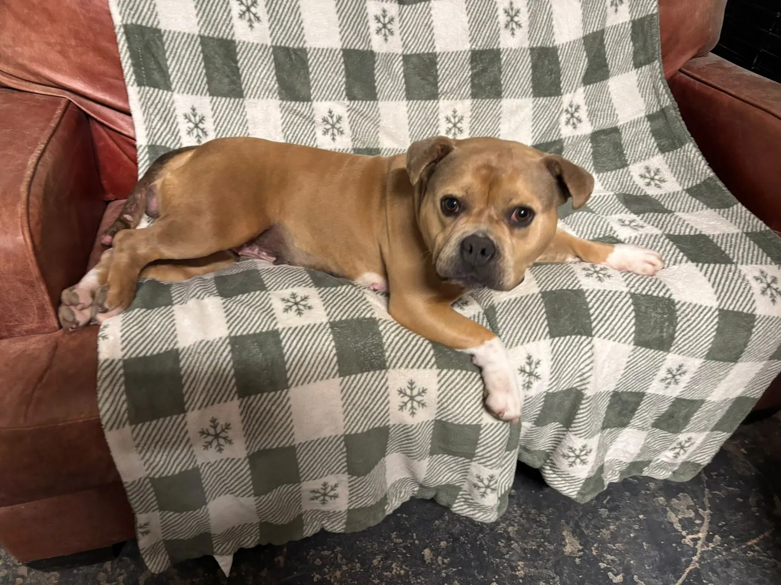 Quinn – Photo 1 of 4