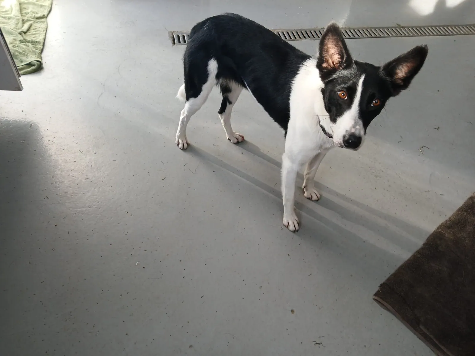 Roxy – Photo 1 of 5