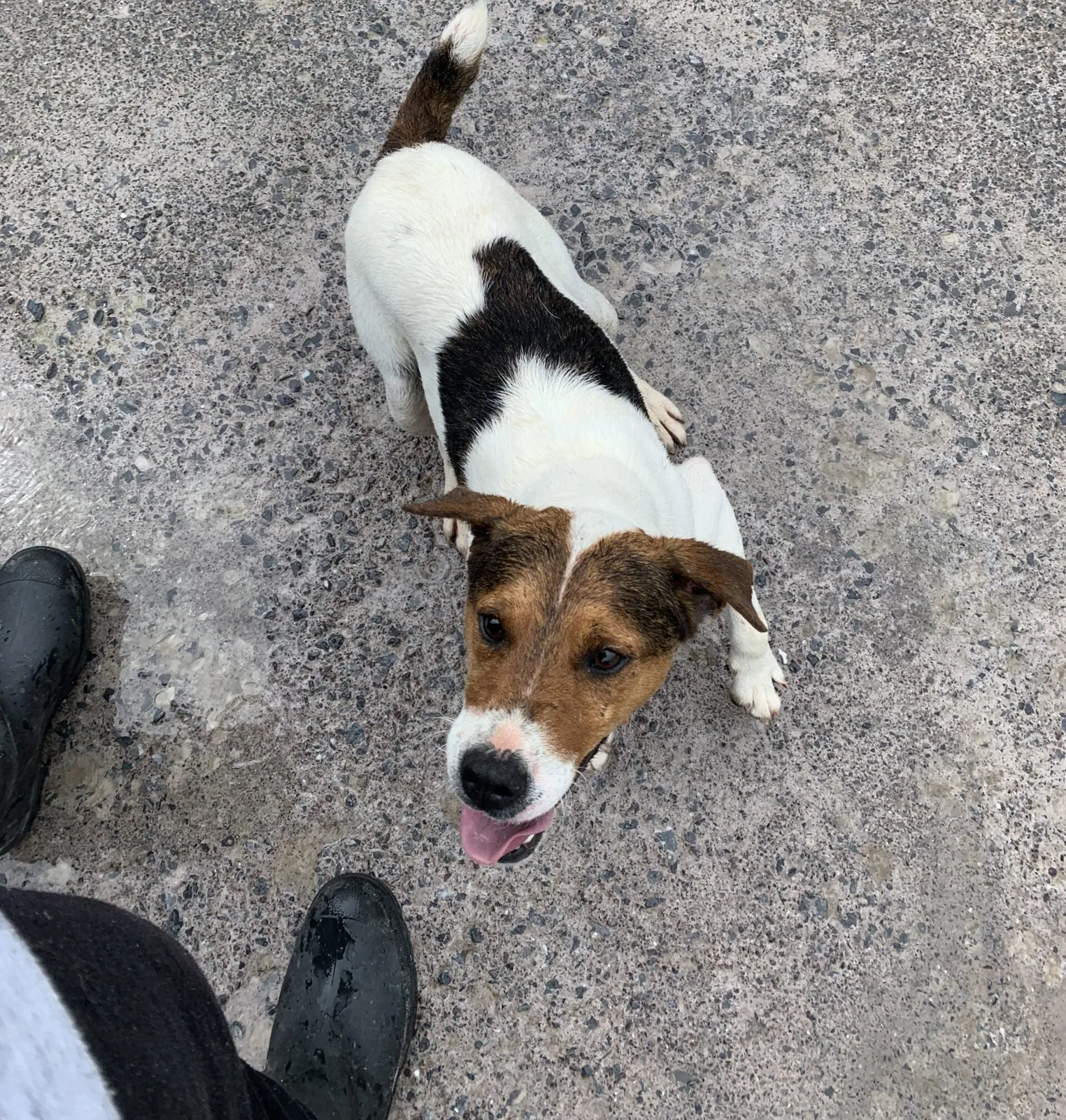 Monty – Photo 1 of 2