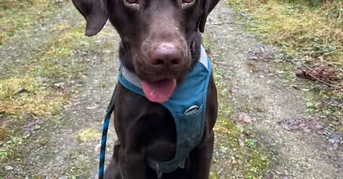 Barclay