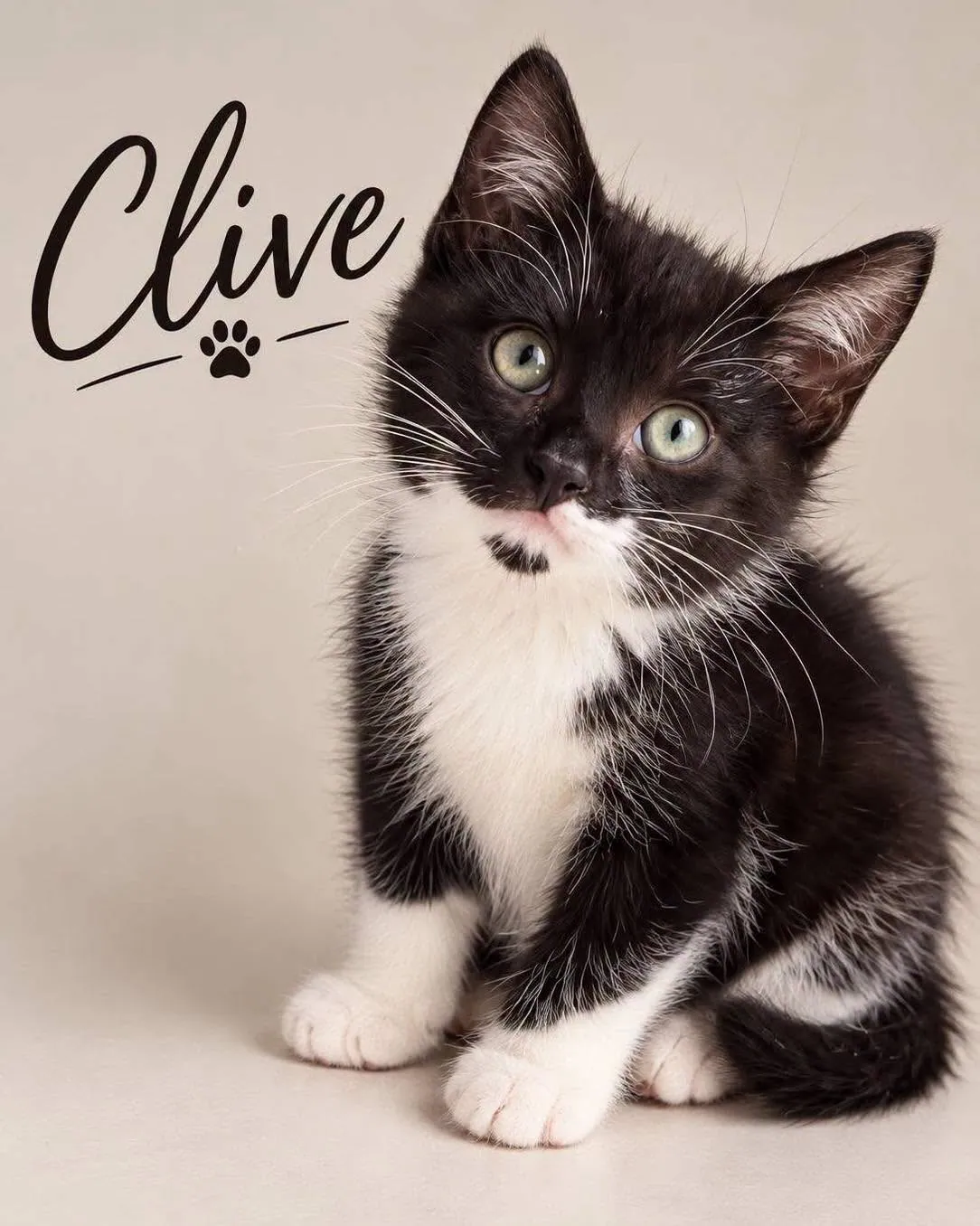 Clive – Photo 1 of 3