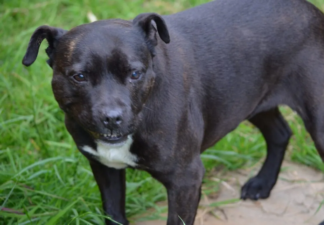 Zena – Photo 1 of 1