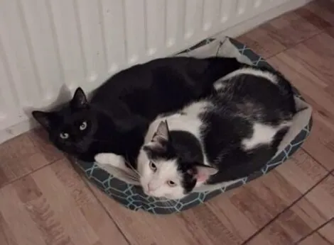 Jordan and Felix – Photo 1 of 1
