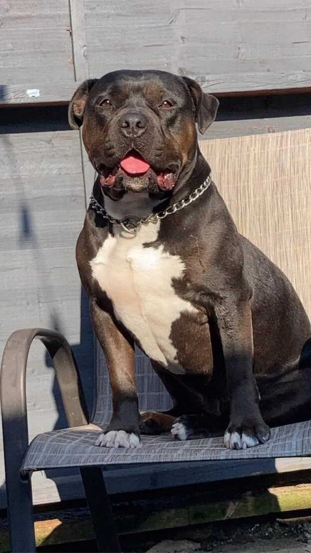 Kali – Photo 1 of 1