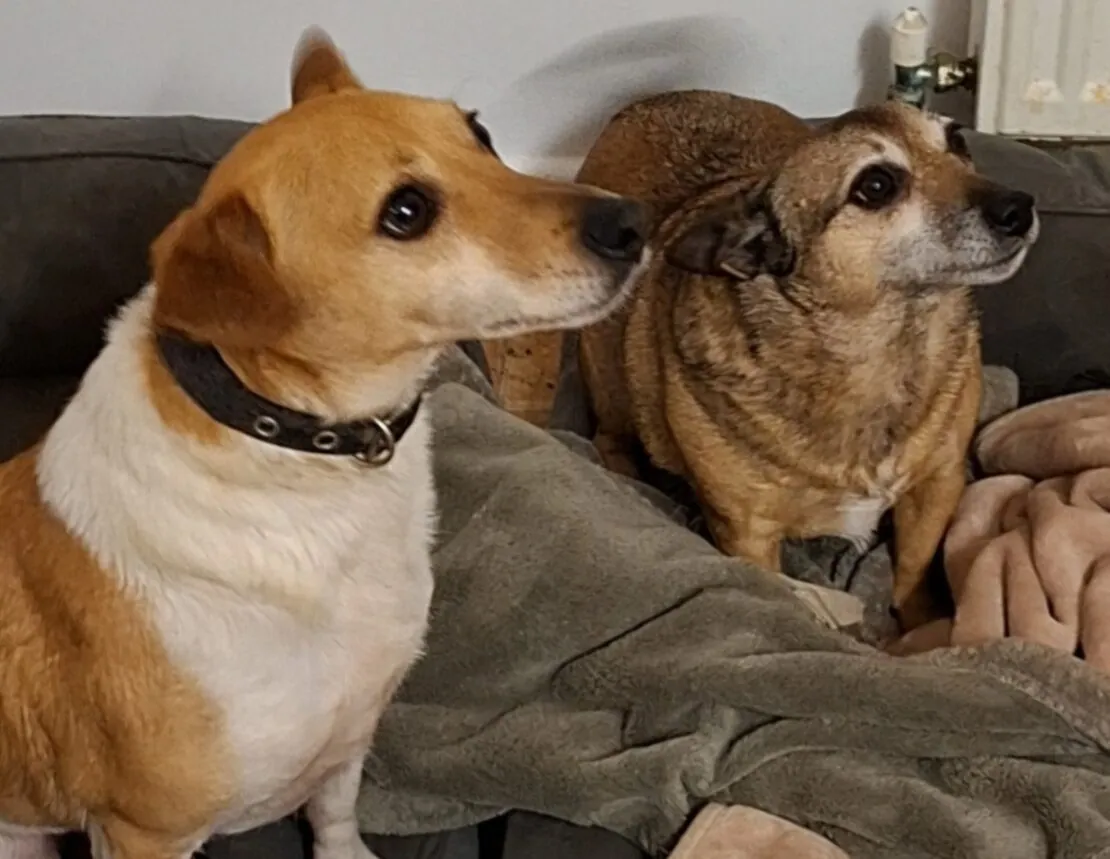 Morty and Dana – Photo 1 of 1