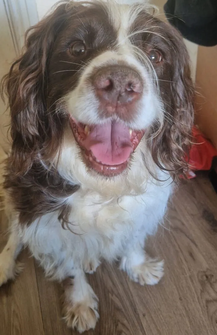 Wally – Photo 1 of 1