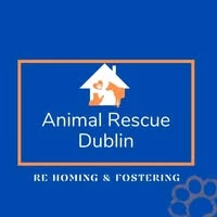 Animal Rescue Dublin