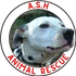 ASH Animal Rescue