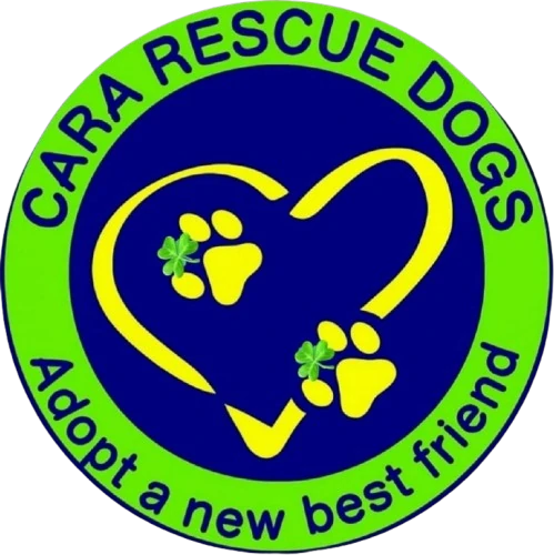 Cara Rescue Dogs