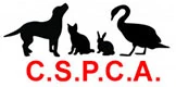 Cork SPCA