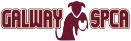 Galway SPCA