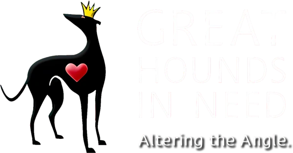 Great Hounds in Need