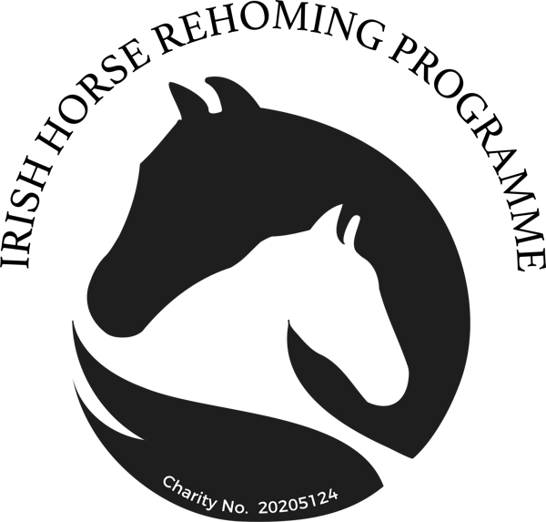 Irish Horse Rehoming Programme