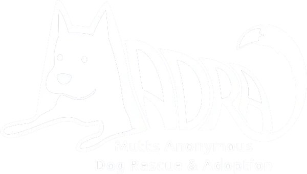 MADRA Dog Rescue & Adoption