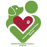 Protecting Pound Dogs Rescue