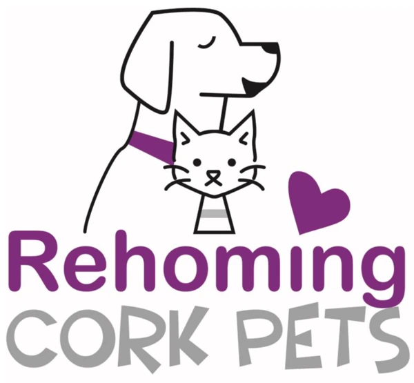Rehoming Cork Pets