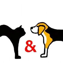 Renvyle Cat & Dog Rescue