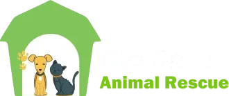 The Barn Animal Rescue